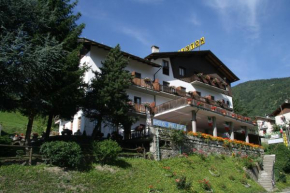 Отель Hotel Bellevue, Жиньо